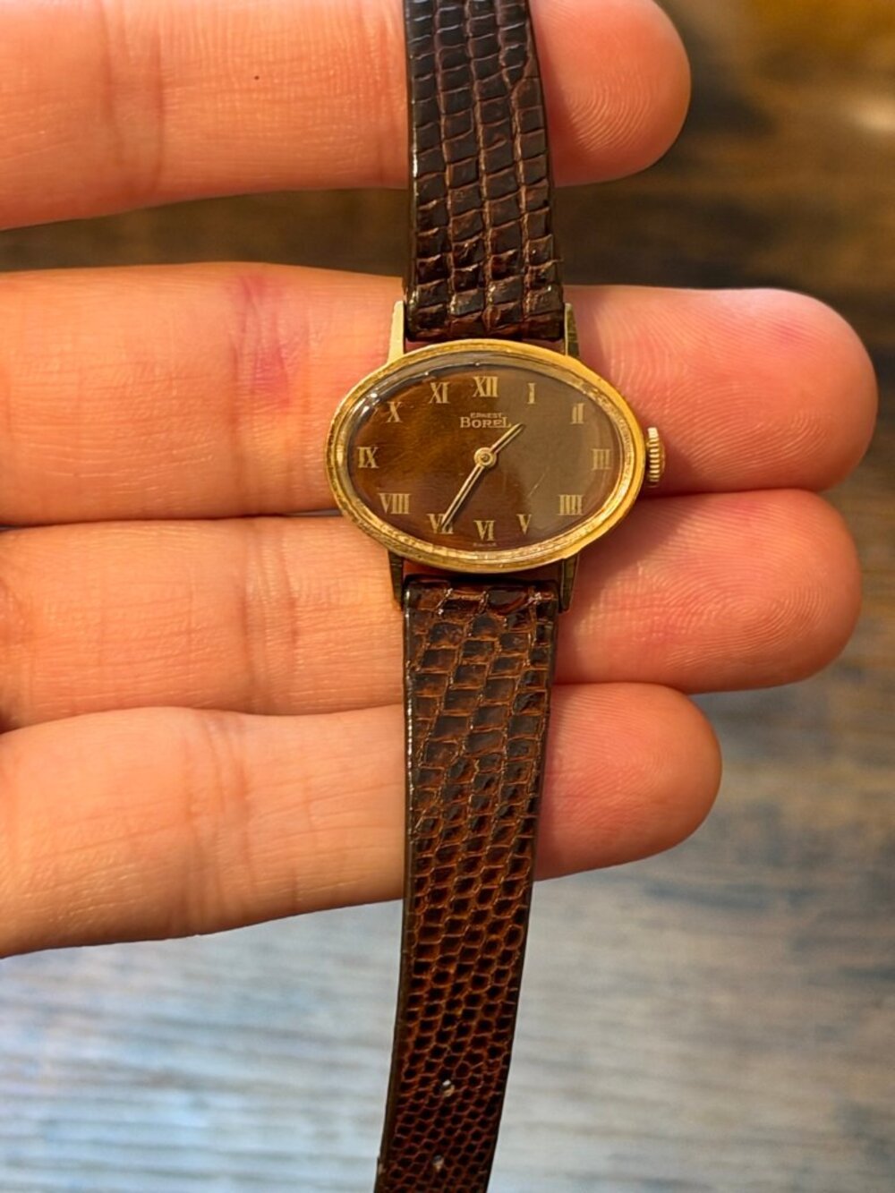 Ernest Borel Women's Oval Brown Dial